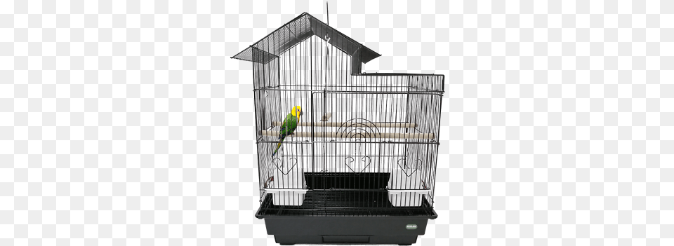 Heritage Blenheim Xlarge Budgie Bird Cage 47x36x62cm Finch Canary Birds Ebay Budgie Cage, Animal, Parakeet, Parrot Png Image