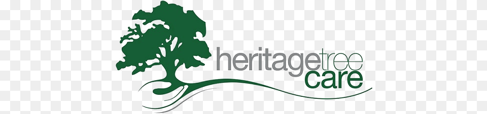 Heritage Tree Care Brisbanes Leading Tree Care, Art, Graphics, Green, Logo Free Png Download