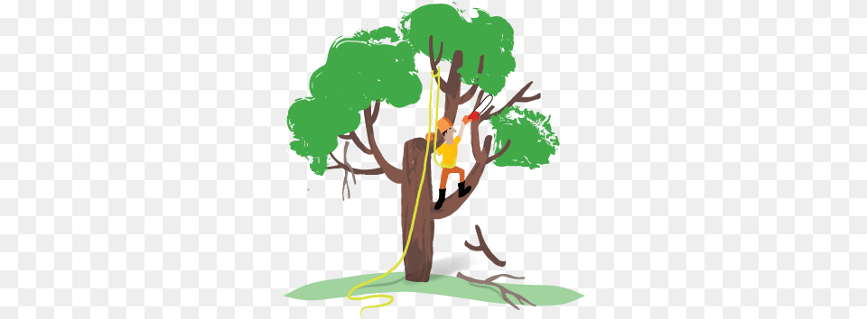 Heritage Tree Care Will Prune Out Your Tree39s Dead Tree Pruning Cartoon, Plant, Outdoors, Person, Vegetation Free Png