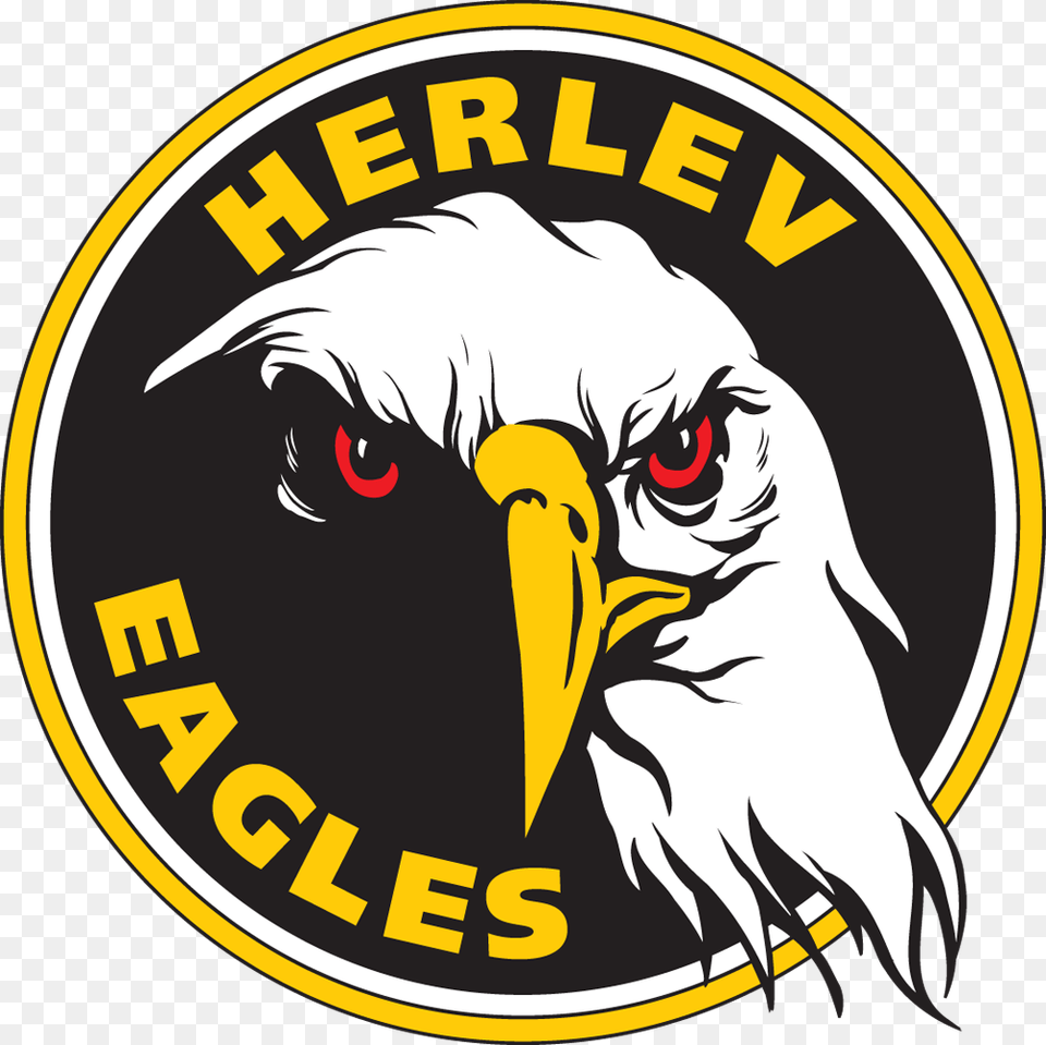 Herlev Eagles Logo, Adult, Animal, Bird, Eagle Free Transparent Png