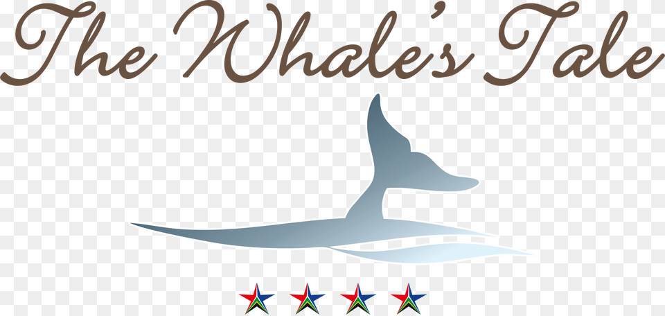 Hermanus Whale S Tail Guesthouse Calligraphy, Text Png Image