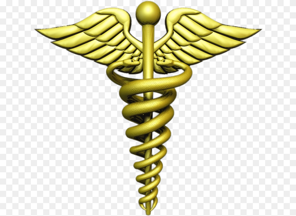 Hermes Caduceus 3d Model Transparent Medical Logo Hd, Plant, Coil, Spiral, Accessories Free Png