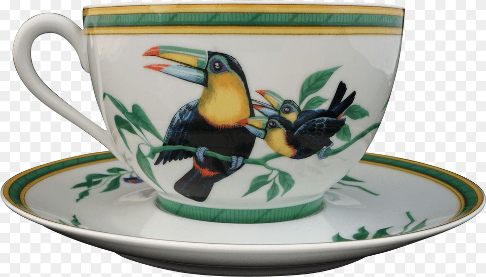 Hermes Toucan, Cup, Saucer, Animal, Bird Free Transparent Png