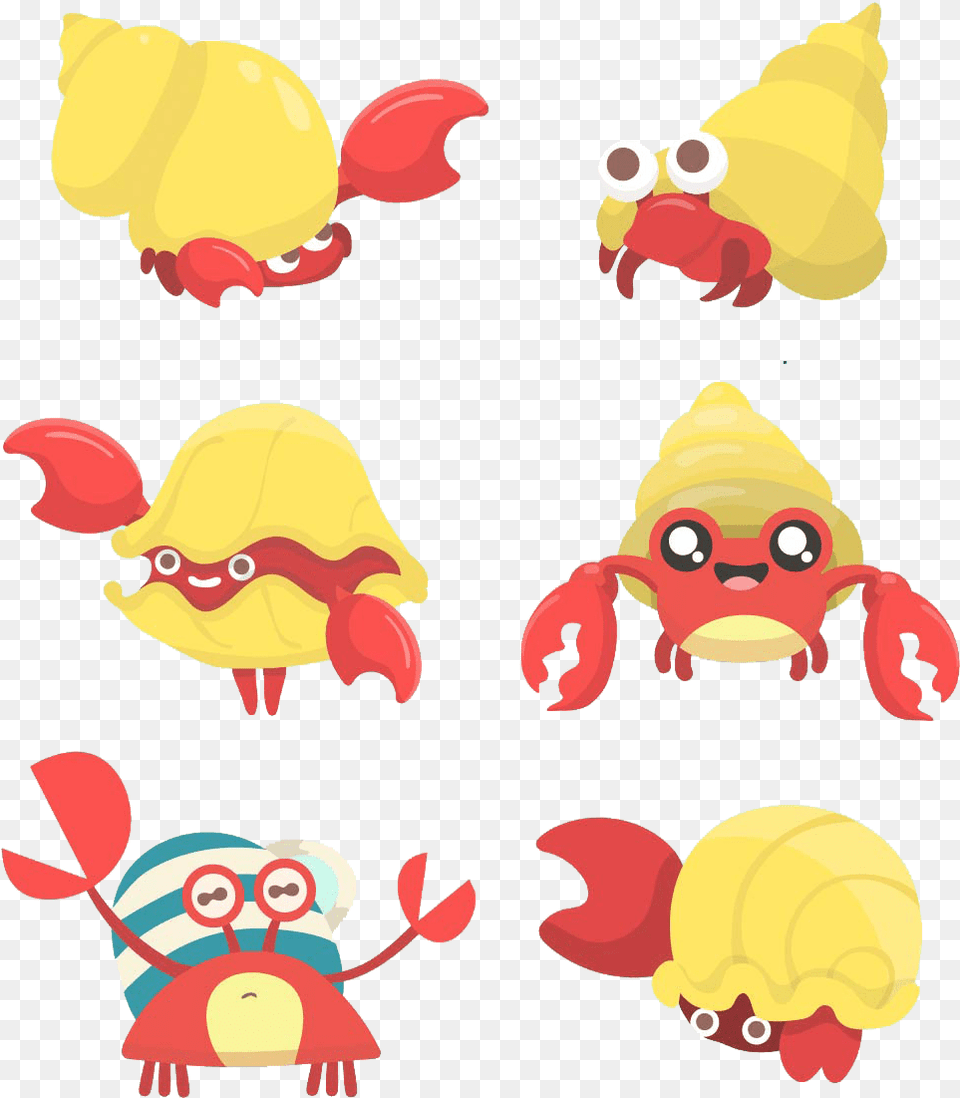 Hermit Crab, Animal, Reptile, Sea Life, Turtle Png Image