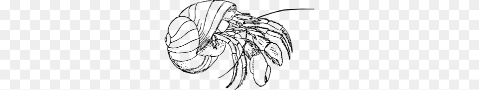 Hermit Crab Clip Art, Drawing, Food, Seafood Free Png