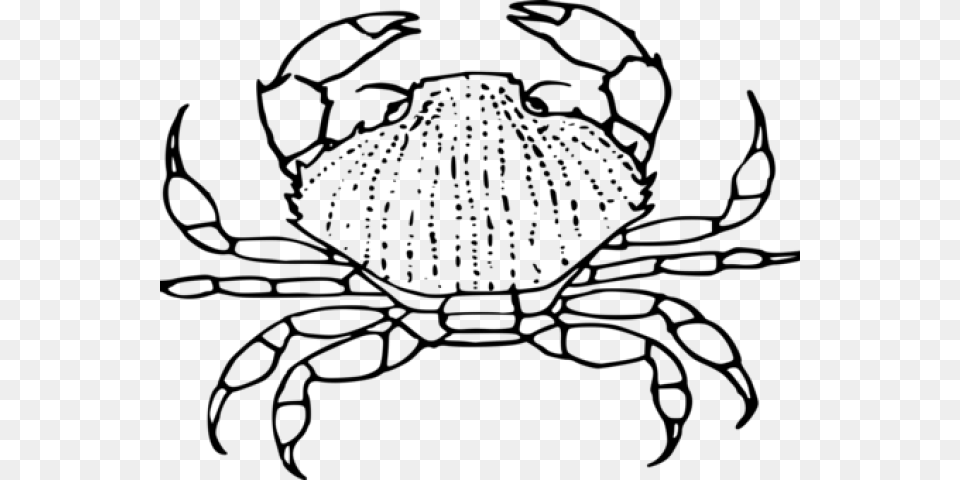 Hermit Crab Clipart Chibi Clip Art, Gray Free Transparent Png