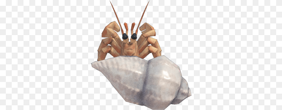 Hermit Crab Nookipedia The Animal Crossing Wiki Animal Crossing New Horizons Hermit Crab, Invertebrate, Sea Life, Seashell, Food Free Png