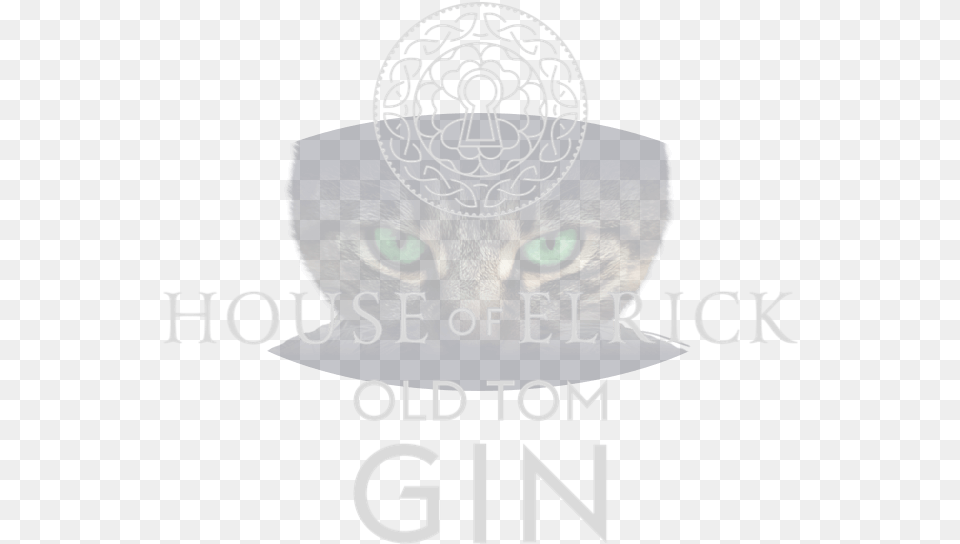 Hero Banner Old Tom Hoe House Of Elrick Gin, Animal, Cat, Mammal, Pet Png