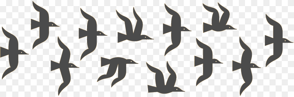 Hero Flock Png Image