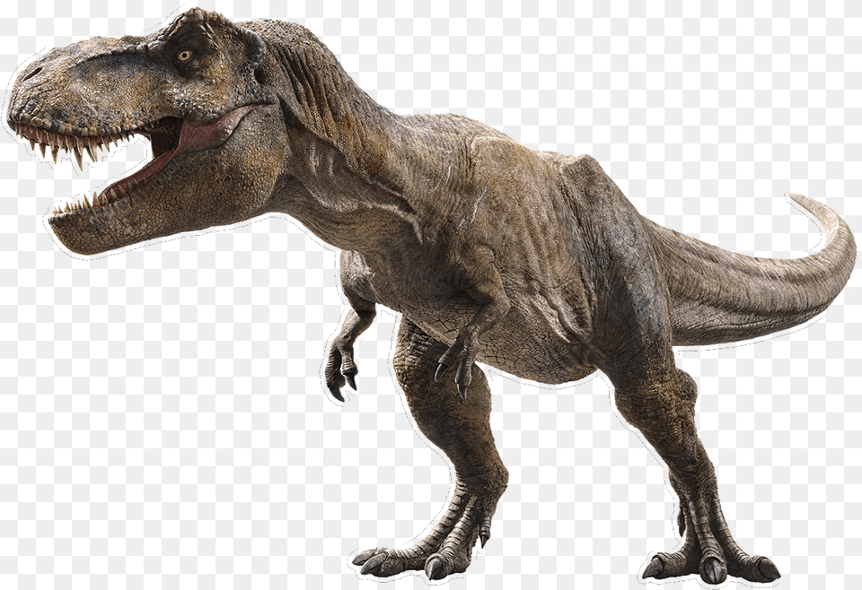 Heroes Of The World Wiki, Animal, Dinosaur, Reptile, T-rex Free Png
