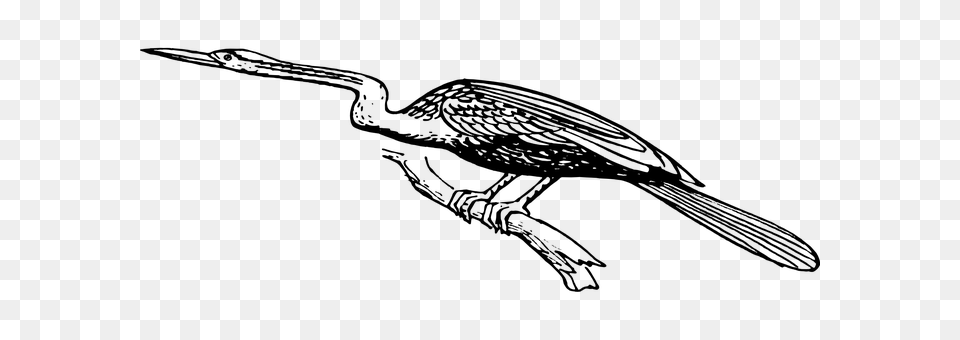 Heron Gray Free Transparent Png