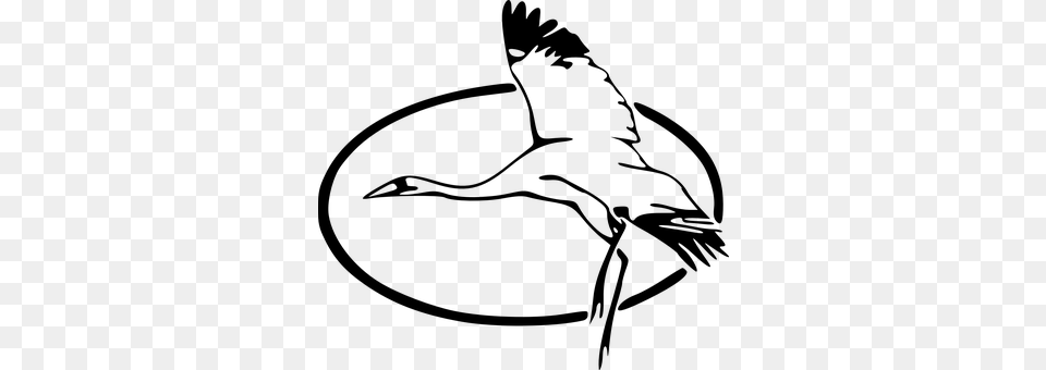 Heron Gray Free Transparent Png