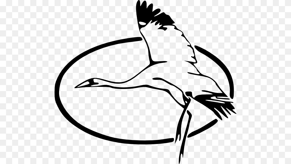 Heron Clip Art, Animal, Bird, Crane Bird, Waterfowl Free Png Download