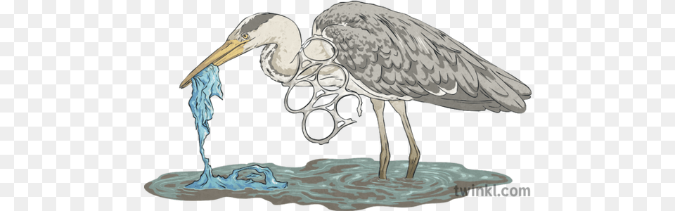 Heron Eating Plastic Bag Can Rings Water Bird Animal Rubbish Long, Stork, Waterfowl, Beak, Crane Bird Free Png Download