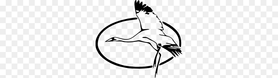 Heron Fly Clip Art, Animal, Bird, Crane Bird, Waterfowl Free Png Download