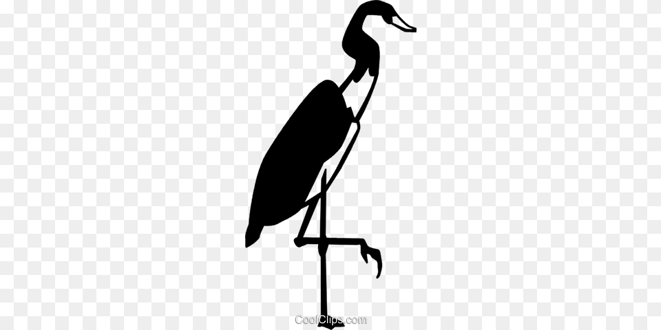 Heron Royalty Vector Clip Art Illustration, Animal, Bird, Waterfowl, Crane Bird Free Transparent Png