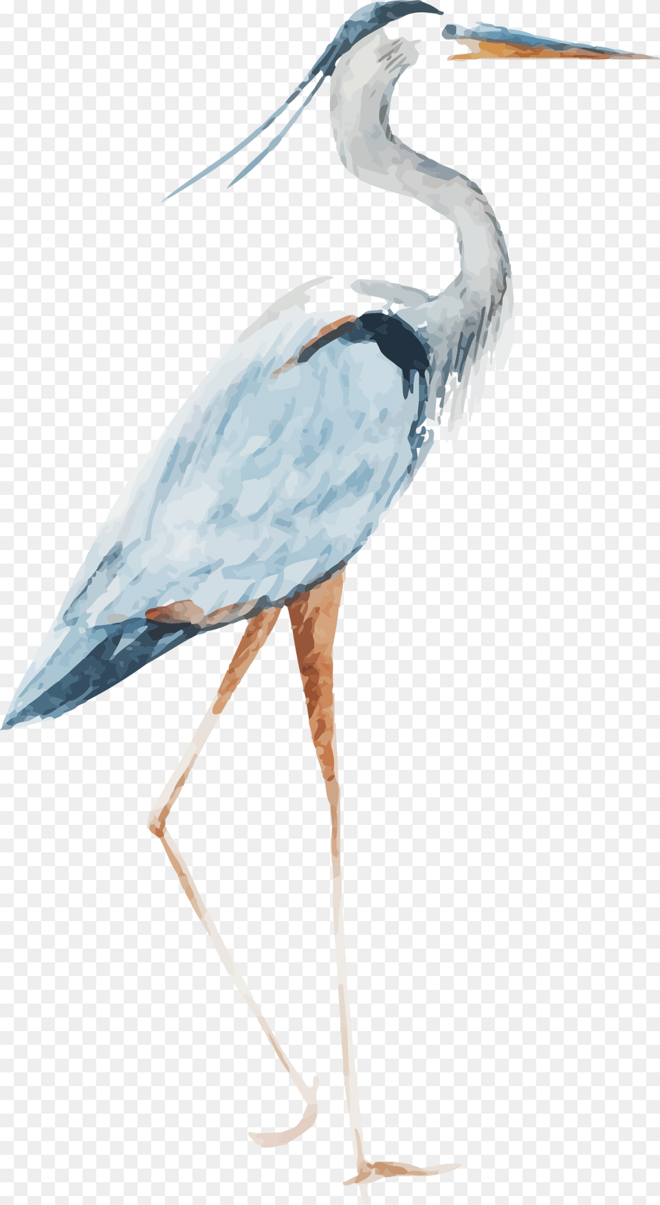 Heron Watercolor Crane Bird Watercolor, Animal, Crane Bird, Stork, Waterfowl Free Transparent Png