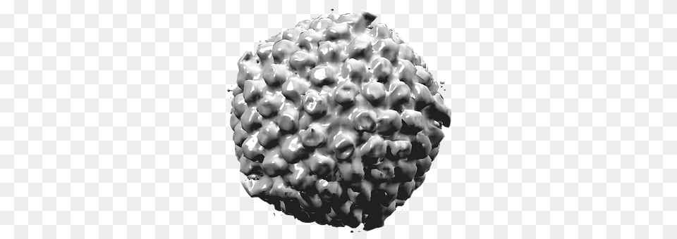 Herpes Simplex Virus Type I Sphere, Animal, Nature, Outdoors Png Image