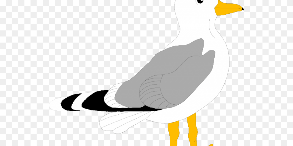 Herring Gull Clip Art, Animal, Bird, Seagull, Waterfowl Free Png Download