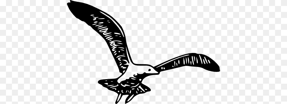 Herring Gull Clipart, Animal, Bird, Flying, Smoke Pipe Free Transparent Png