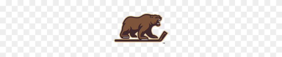Hershey Bears Mascotte, Animal, Mammal, Wildlife, Bear Png Image