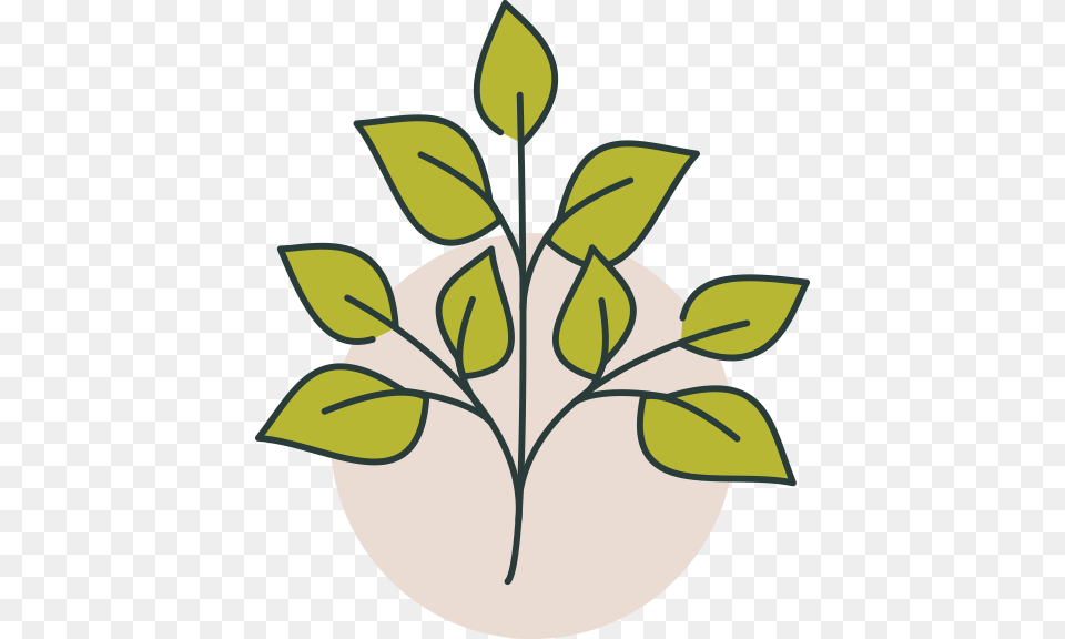 Hersheys Clip Art, Herbal, Herbs, Leaf, Plant Free Transparent Png