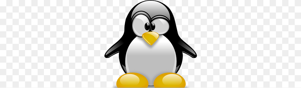 Hes Just Cute Jordans Penguins Penguins Clip, Animal, Bird, Penguin, Clothing Png Image