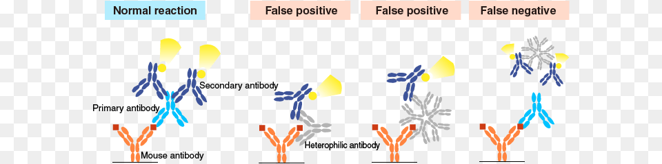 Heterophilic Antibodies False Negative Heterophile Antibody, Outdoors, Nature, Snow Png