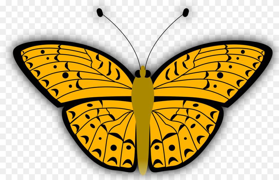 Hewan Kupu Kupu Kartun, Animal, Butterfly, Insect, Invertebrate Free Transparent Png