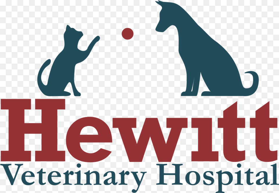 Hewitt Veterinary Hospital Waco Texas Illustration, Person Free Png