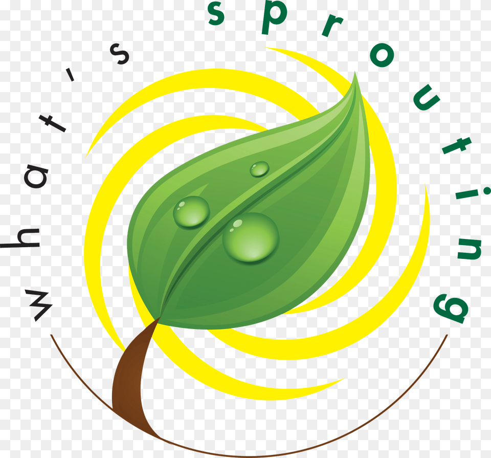 Hewlett Packard, Leaf, Plant, Droplet Png