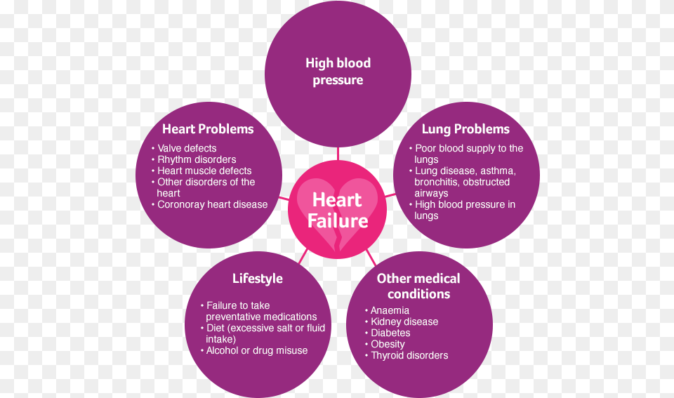 Hf Basics Circles Heart Failure Causes, Advertisement, Poster, Disk Free Png Download