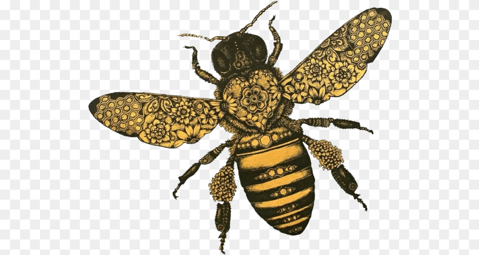 Hfk Bee Tilt, Animal, Insect, Invertebrate, Wasp Png Image