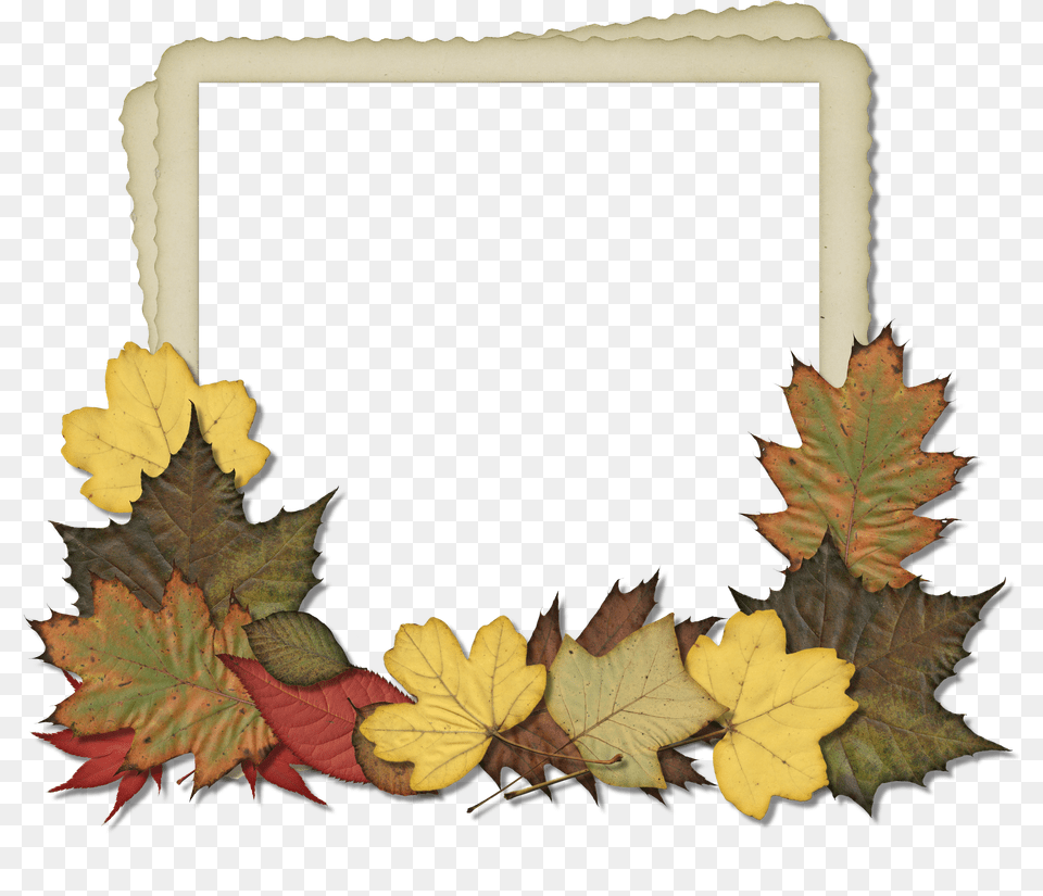 Hg Cufallleavesframepng Frame Halloween Fall Leaves Photo Frames Png