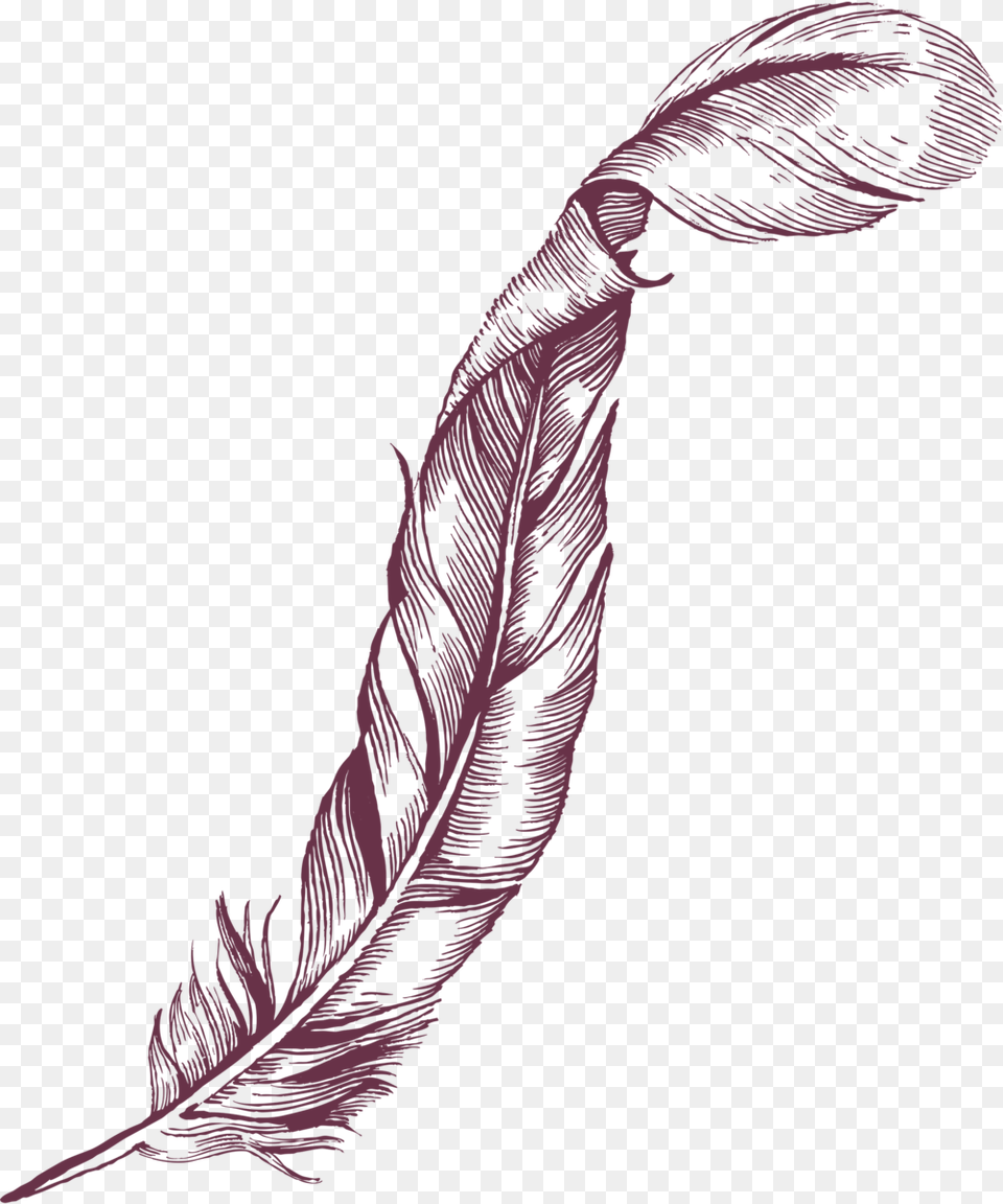 Hg Interiors Feather Purple Up Illustration, Person, Art, Bottle Free Transparent Png