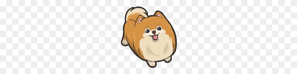 Hi Pomeranian Line Stickers Line Store, Animal, Canine, Mammal, Rat Png