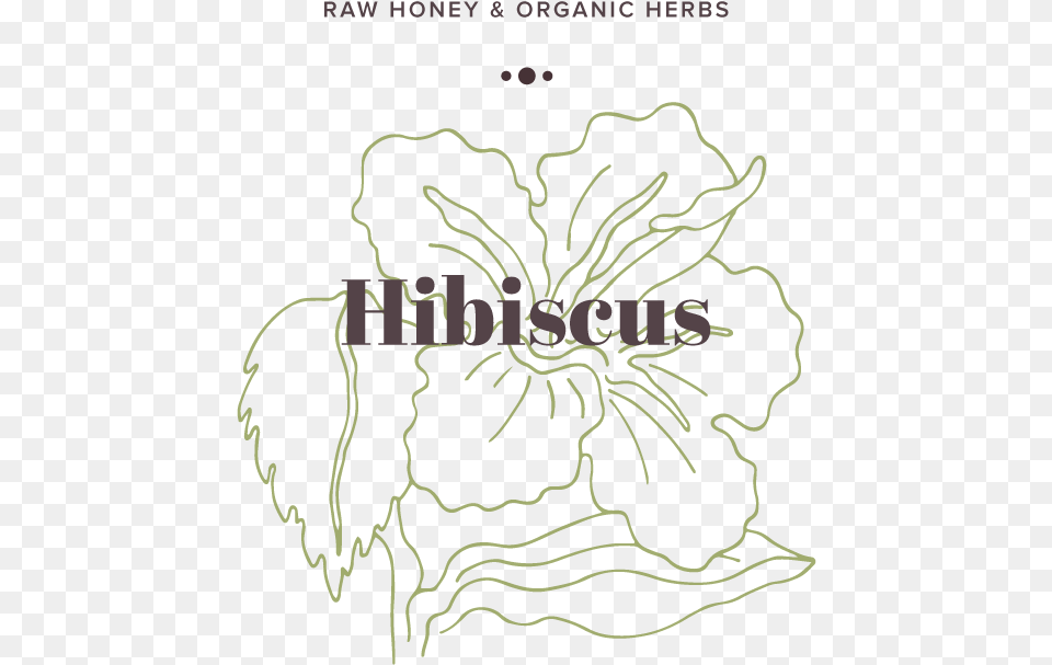 Hibiscus, Art, Graphics, Floral Design, Flower Png