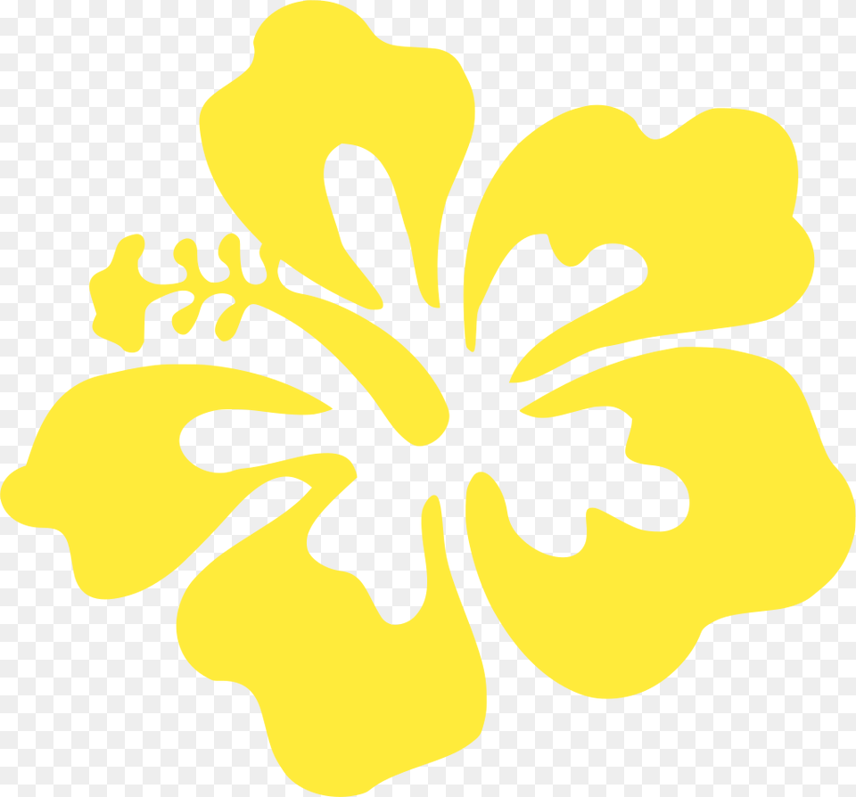 Hibiscus Png Image