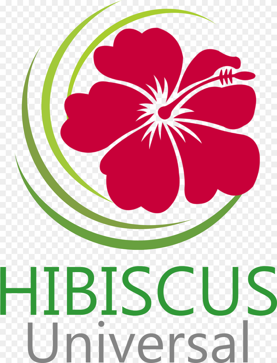 Hibiscus, Flower, Plant, Geranium, Petal Free Png