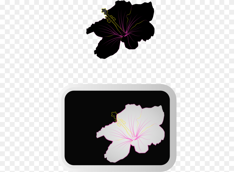 Hibiscus 3 Clip Arts Pansy, Anther, Flower, Plant, Geranium Free Png Download