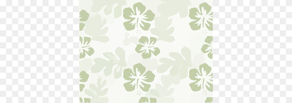Hibiscus Art, Floral Design, Graphics, Pattern Free Png