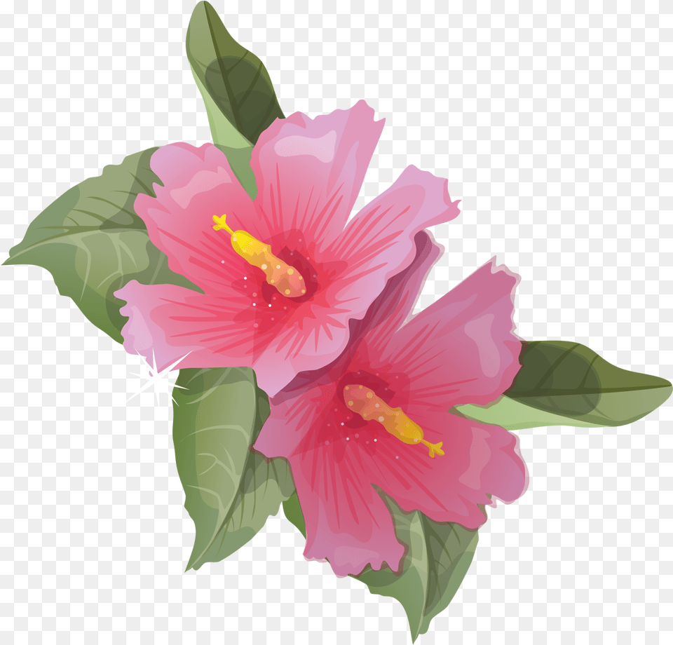 Hibiscus Animation Flower Clip Art Animated Flowers Images Transparent, Plant, Person, Anther Png Image