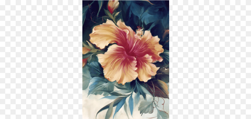 Hibiscus Art Jpeg, Flower, Plant, Petal, Person Free Png