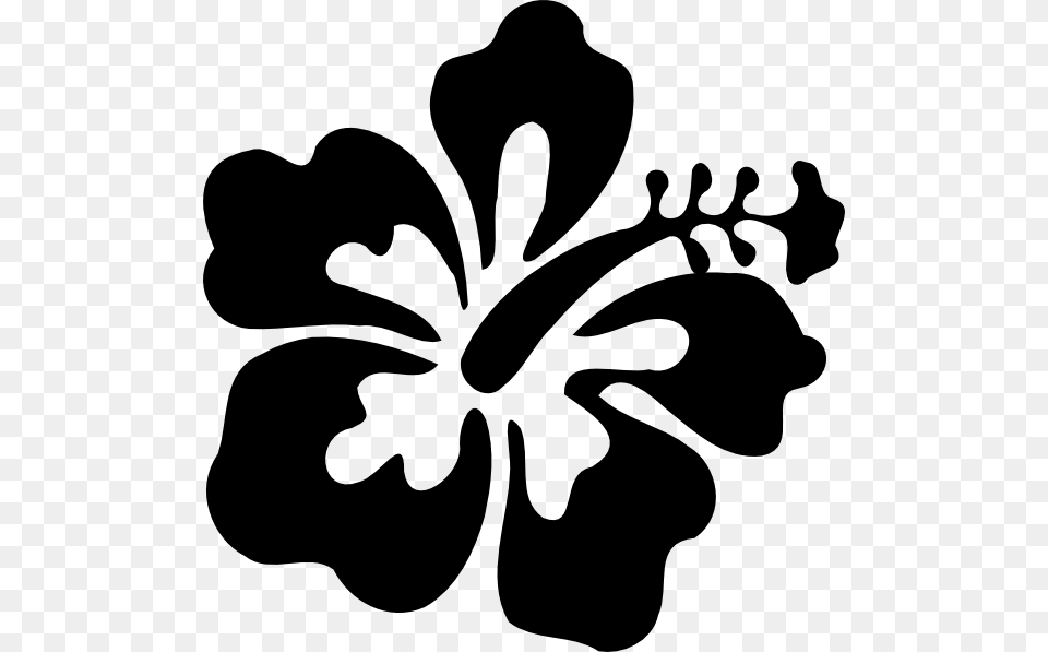 Hibiscus Black And White, Flower, Plant, Stencil, Adult Free Transparent Png