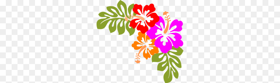 Hibiscus Clip Art, Flower, Plant, Geranium, Baby Free Transparent Png