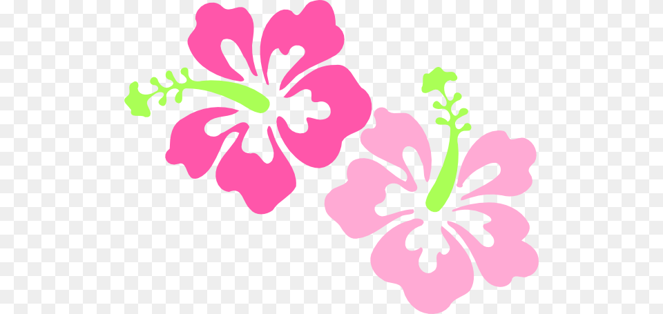 Hibiscus Clip Art, Flower, Plant, Baby, Person Free Png Download