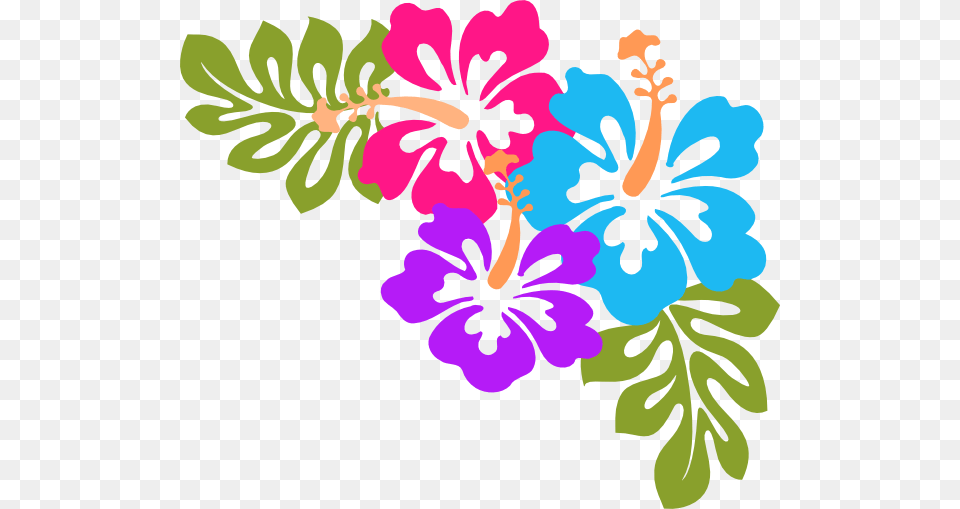 Hibiscus Clip Art, Flower, Plant, Floral Design, Graphics Free Png Download
