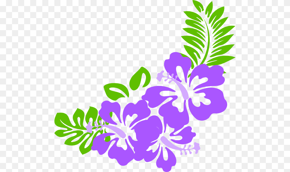 Hibiscus Clip Art, Flower, Herbal, Herbs, Plant Free Transparent Png