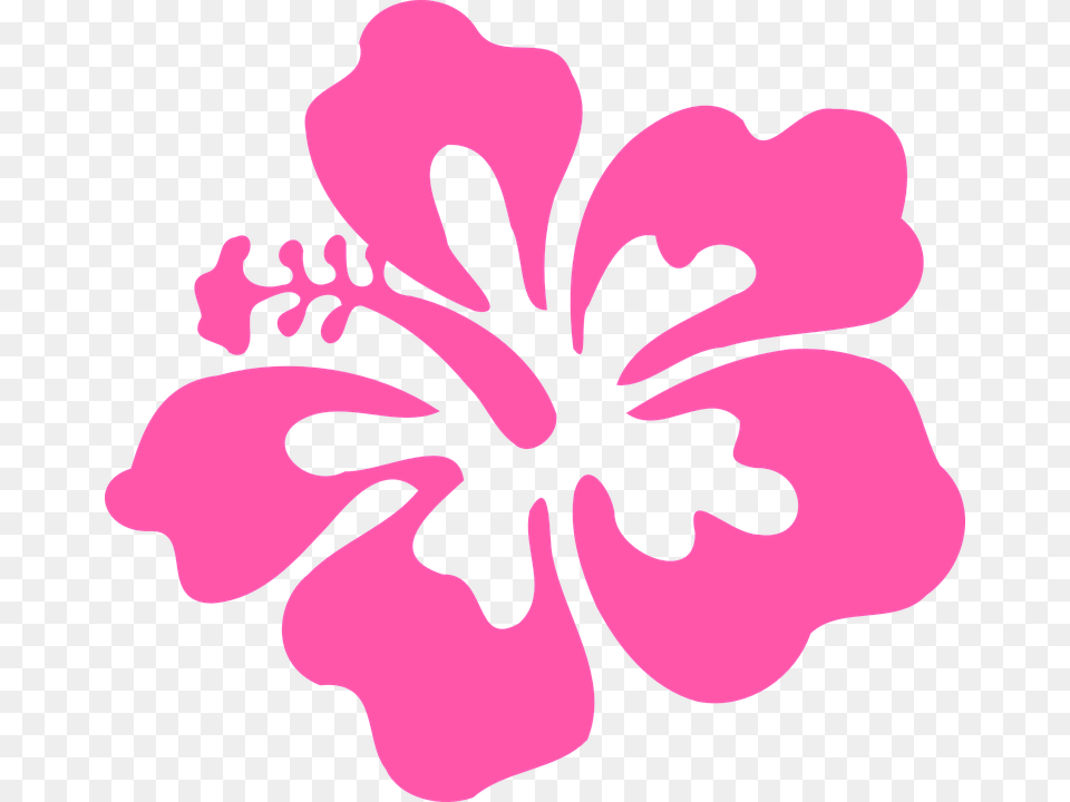 Hibiscus Clip Art, Flower, Plant, Person Free Transparent Png