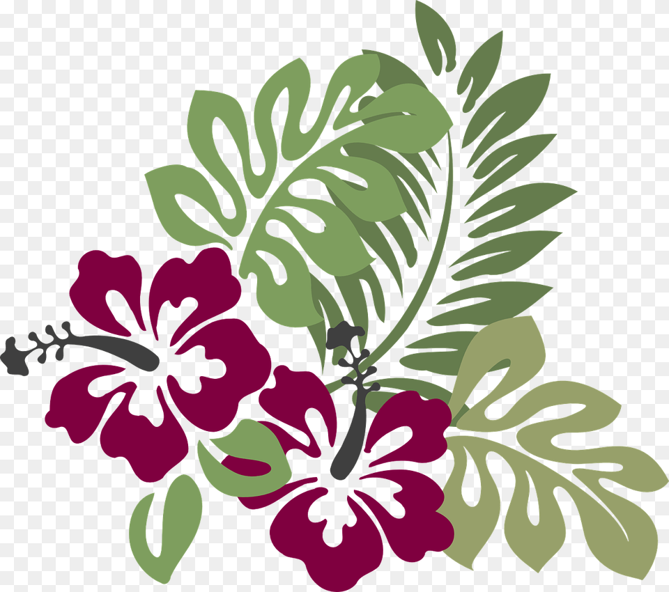 Hibiscus Clip Art, Plant, Flower, Pattern, Graphics Png Image